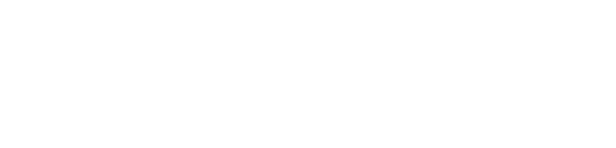 情報開発力 Digital Development