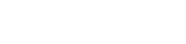 経営実践力 Management Skills